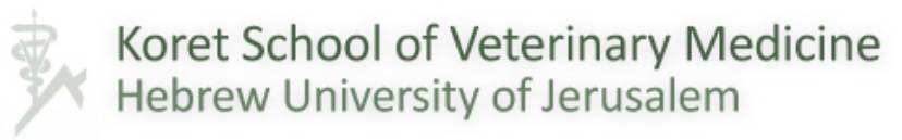 logo Koret School of Veterinary Medicine