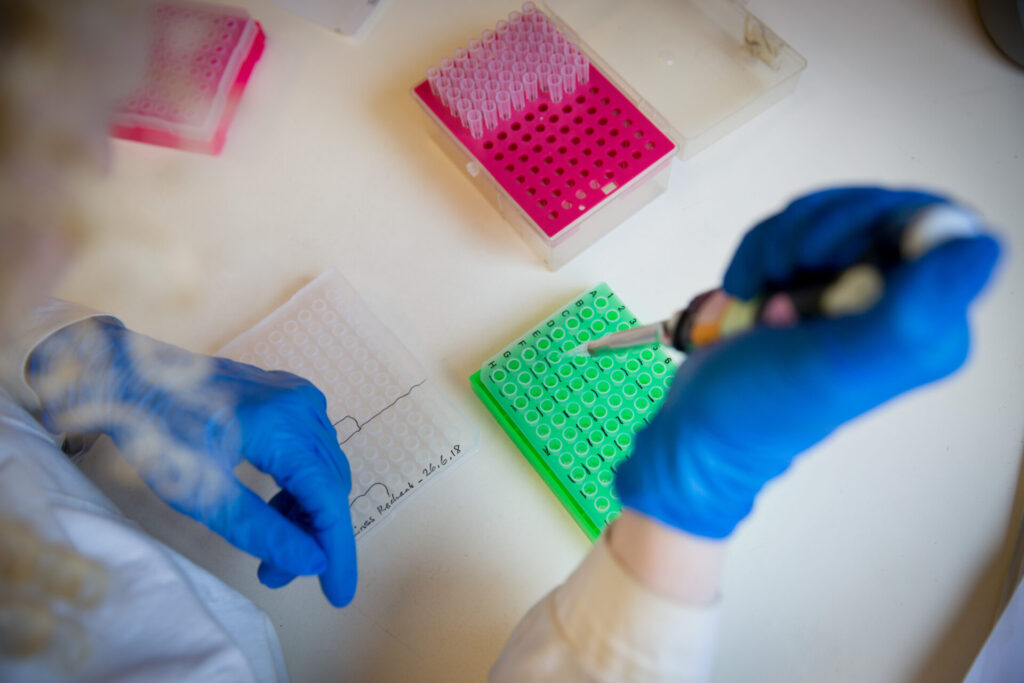 pipette laboratoire