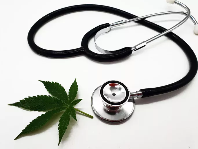 Hebrew University Announces Groundbreaking Medical Cannabis Course for Healthcare Professionals