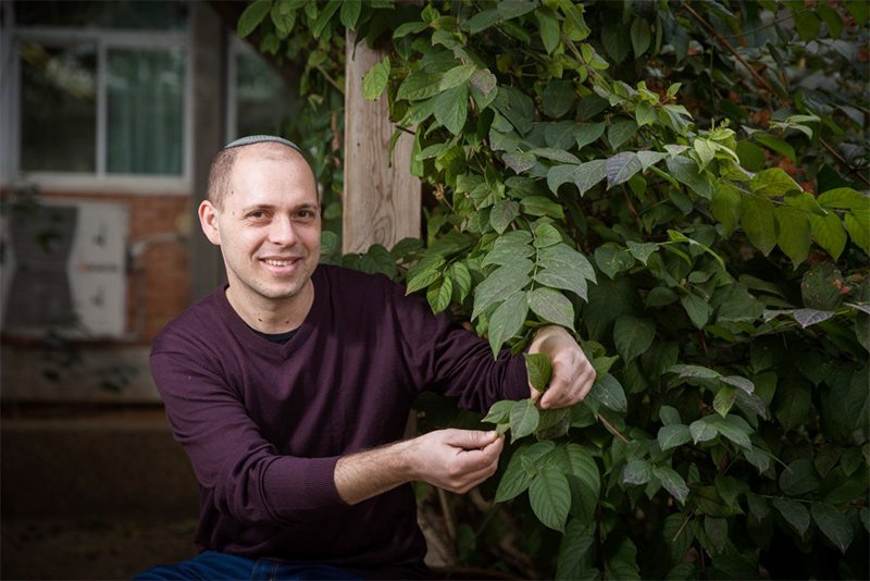 Vous êtes-vous déjà demandé ce que ressent une pomme de terre ?