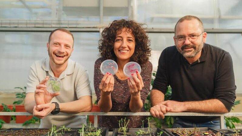 Des anciens étudiants de l’Université Hébraïque de Jérusalem lèvent 2,4 millions de dollars pour révolutionner l’AgriTech