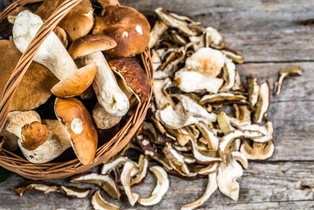 Les extraits de champignons : Une nouvelle voie prometteuse dans le traitement des troubles psychiatriques