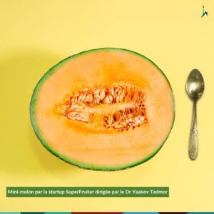 mini melons