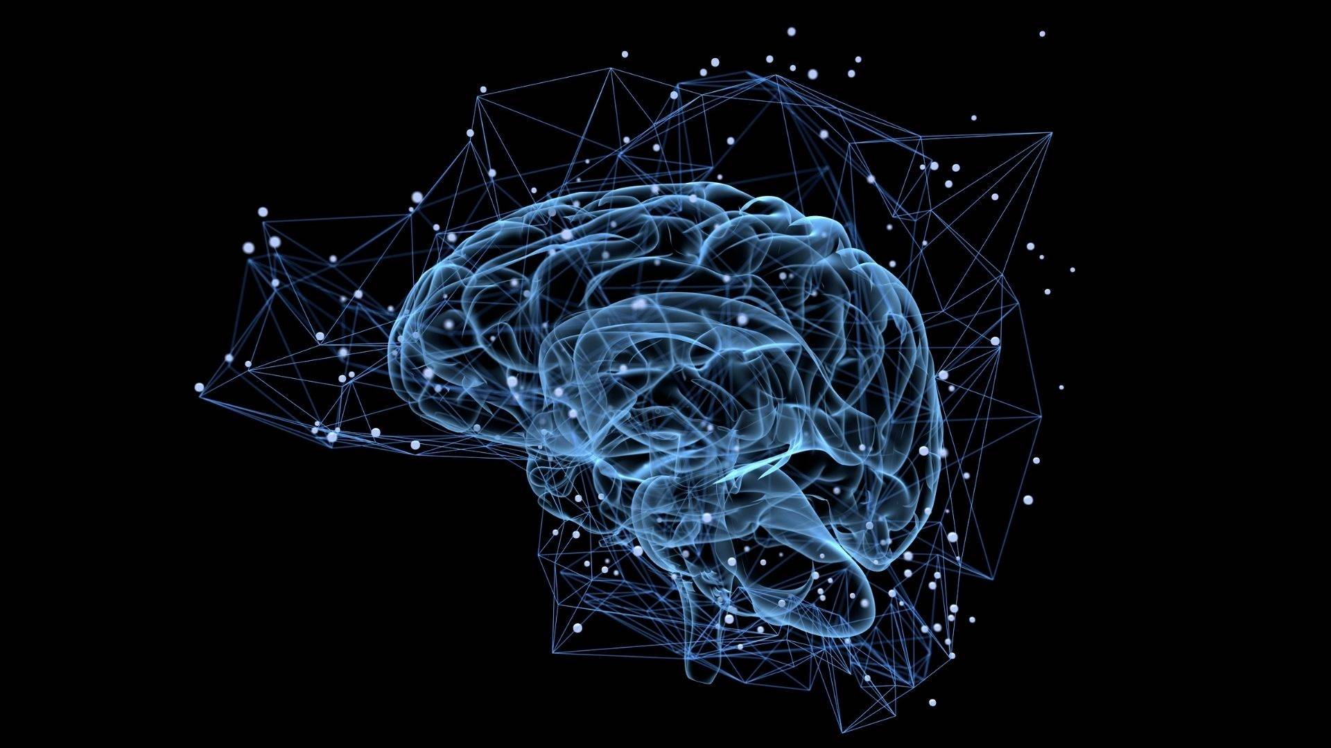 À la croisée de la conscience et de la mémoire : une exploration novatrice en neurosciences