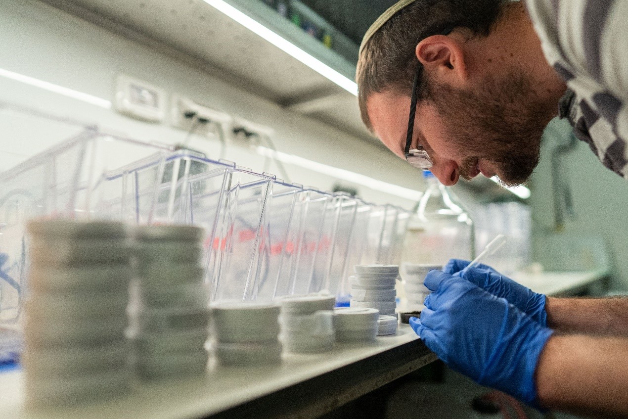 Les secrets de la longévité révélés : Comment la reproduction influence le vieillissement chez les vertébrés ?