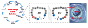 Diagramme d'enzymes