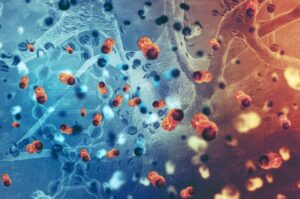 cellule t cancer