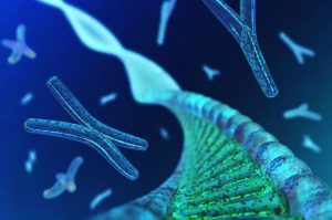 cellule adn