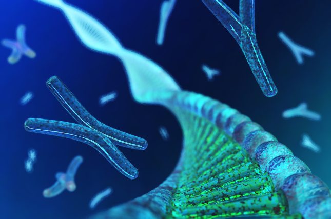 Une nouvelle molécule capable de détecter et de détruire un ARN lié à la croissance du cancer développée par des chercheurs de l’Université Hébraïque