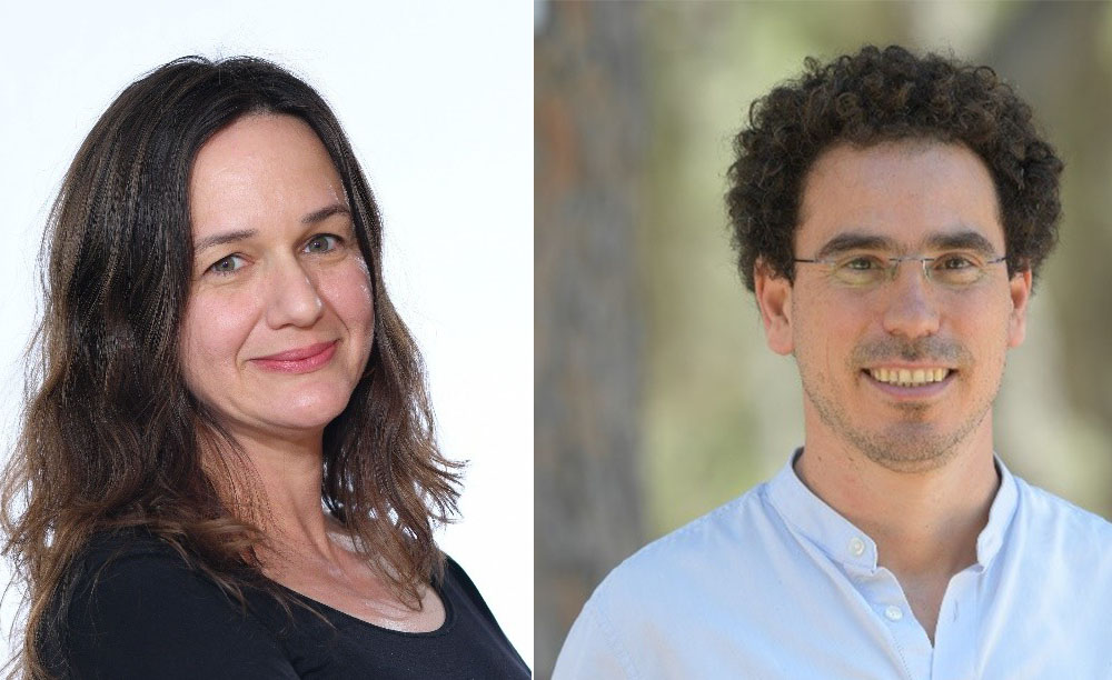 Deux chercheurs de l’Université Hébraïque remportent les prestigieuses ERC Consolidator Grants 2025